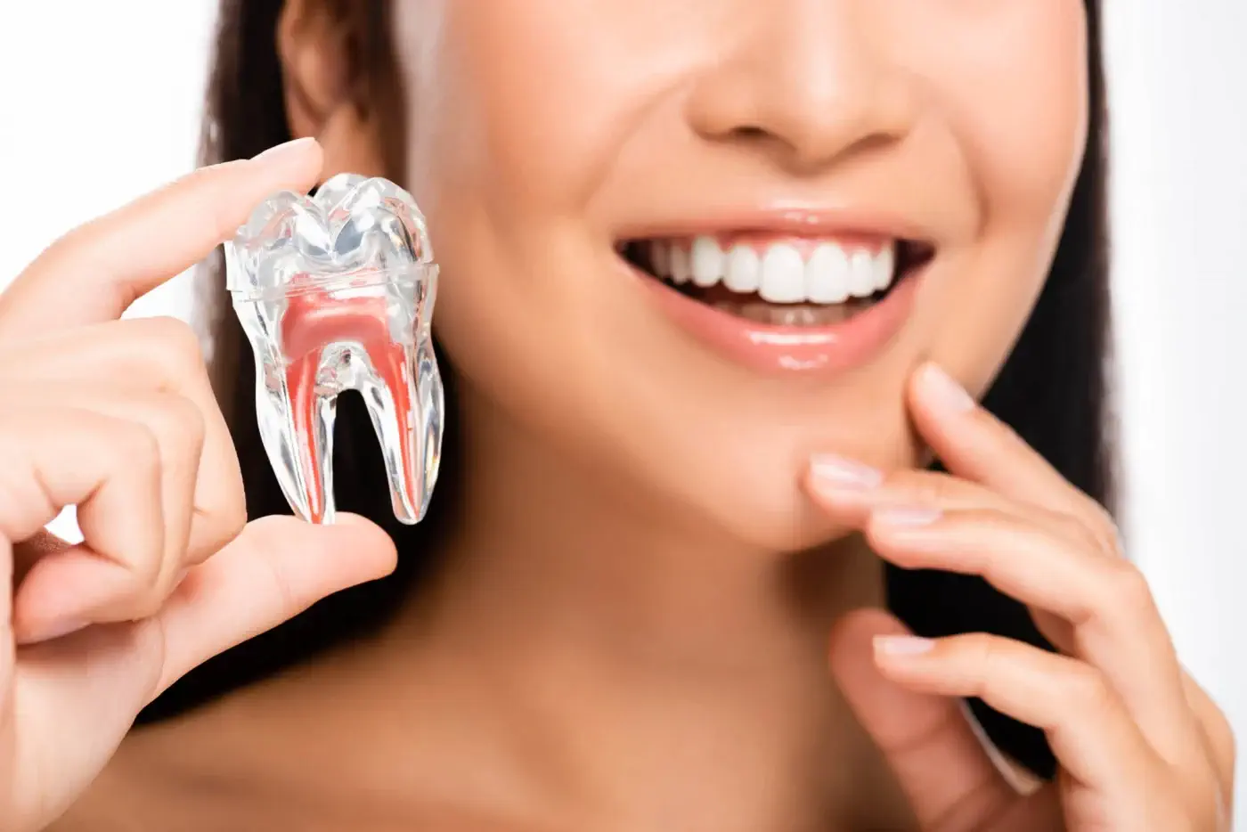 closeup of a smiling woman while holding a tooth model